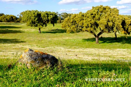 F78E68E3-C2D0-4CEA-91E4-39E7A3F6AF94-4353-000004ED