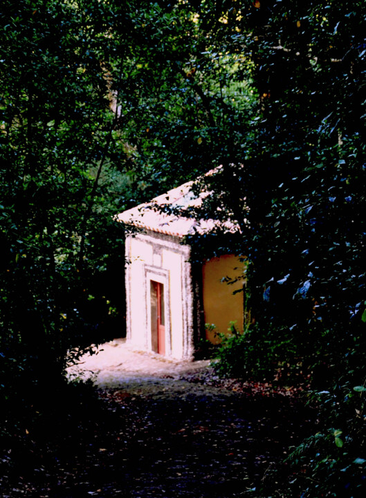 hipotese 5 cap boa.jpg