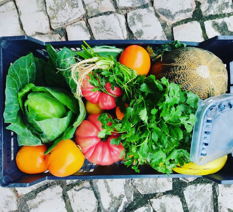 313116635_2449469905192756_2126317063976827018_n.j