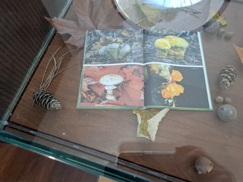 30a_Caminhada_a_Dois_PRU (11).jpg