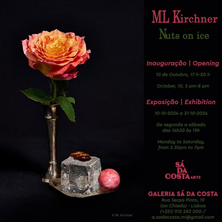 descarregar (9).jfif