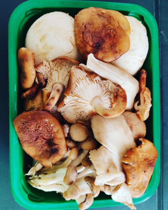 376416662_687661813391232_1975347182229061325_n.jp