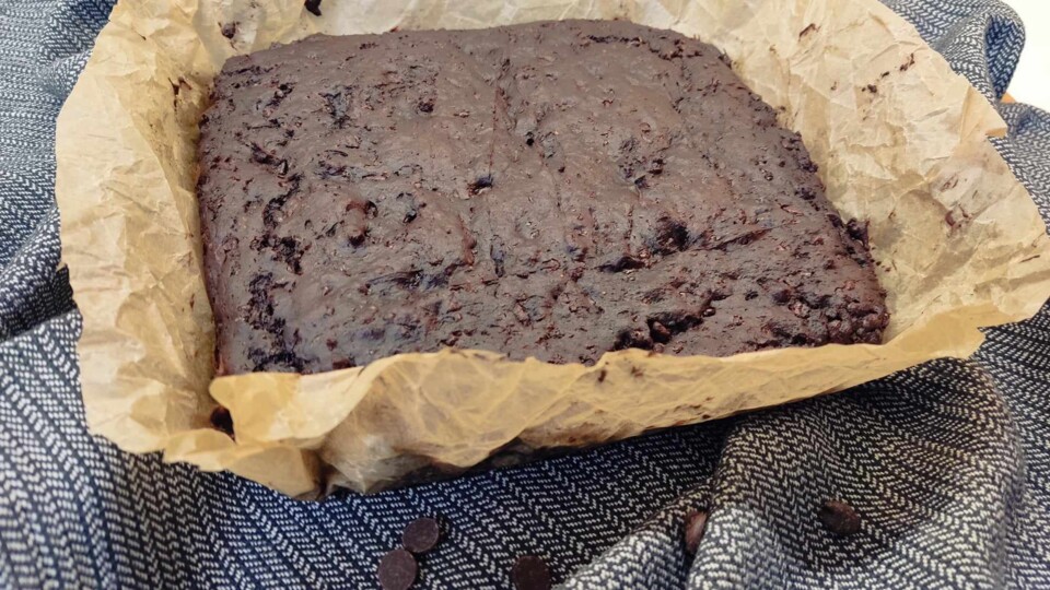 423600074_928979398416351_6027996090763861089_n.jp