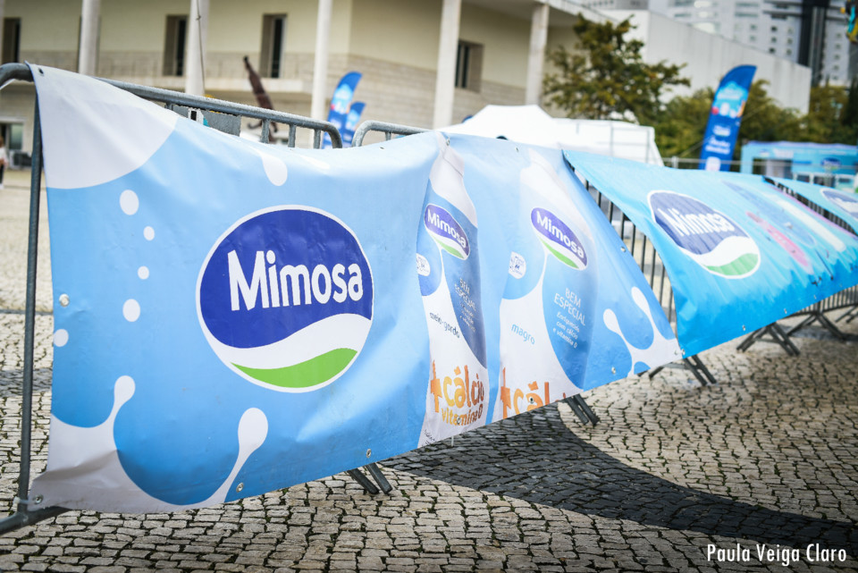 Angel Luzinha Fotografia-38.jpg