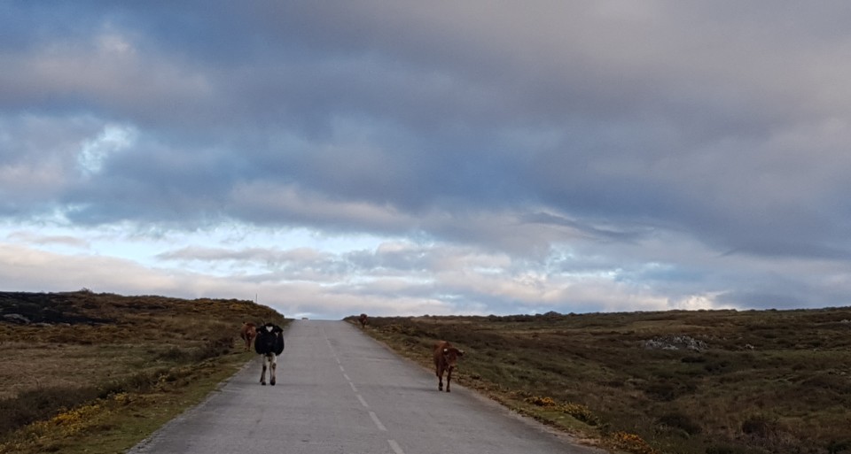 20210419_193050 (2).jpg