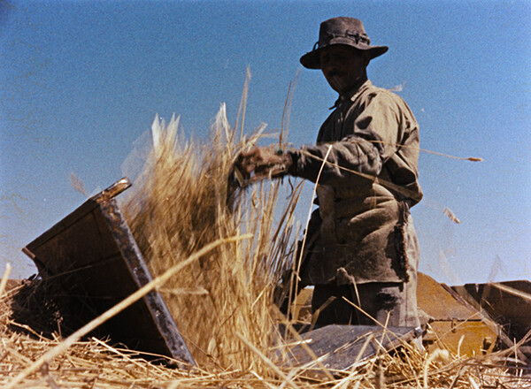 pao-div.jpg.crdownload