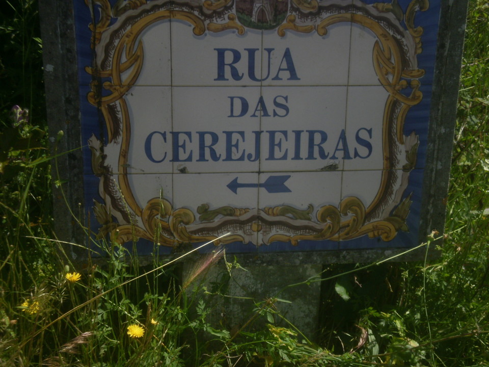 P4237930.JPG P4237930.JPG