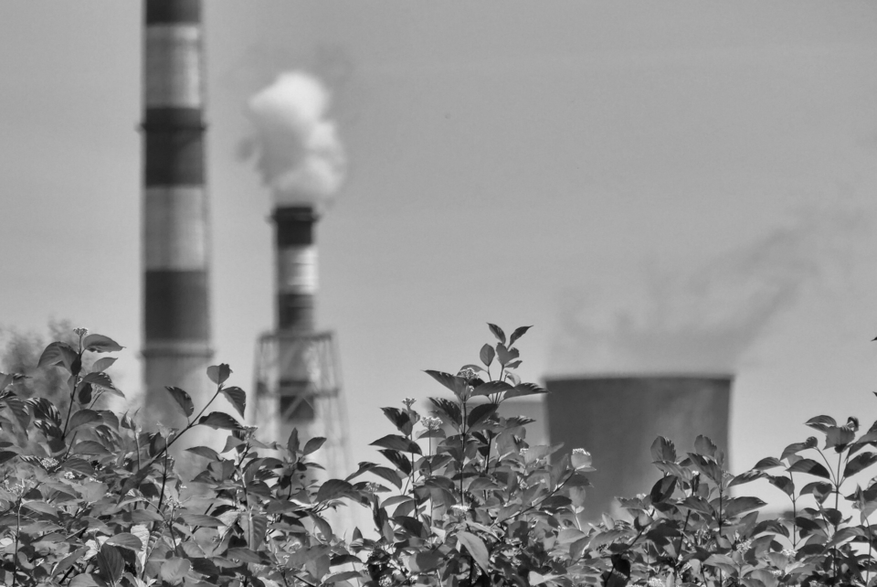 Design sem nome (97).png