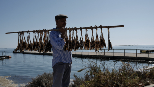 Chef Andr├® Magalh├úes, Olh├úo, Faro  27 