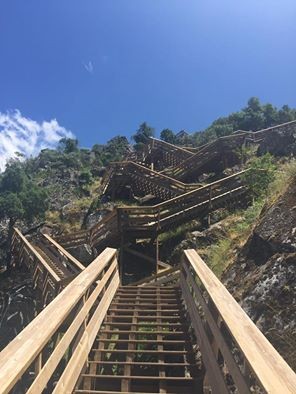 13516585_1268142273220678_9044079920966718742_n.jp