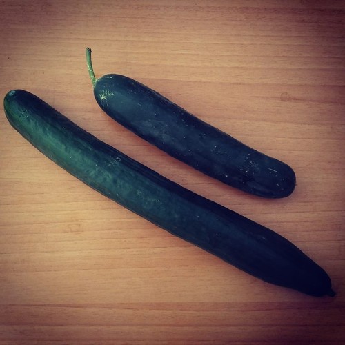 13590447_726881687451595_8006690869529375718_n.jpg 13590447_726881687451595_8006690869529375718_n.jpg