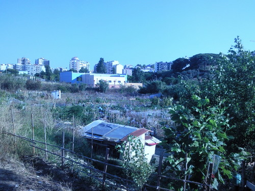 Foto original de D.A.P.L. Junho 2015.jpg