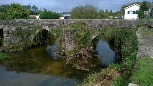 WP_20151006_005.jpg