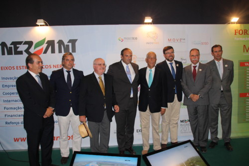 IMG_0521.JPG IMG_0521.JPG