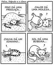 images76S2S0D4.jpg images76S2S0D4.jpg