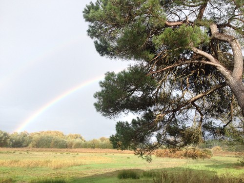 arcoiris_contosmeninamulher.JPG arcoiris_contosmeninamulher.JPG