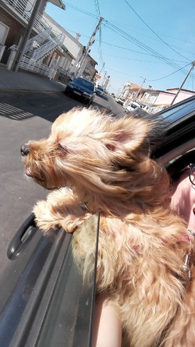 IMG_20170409_163910.jpg IMG_20170409_163910.jpg