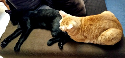 juntos.jpg juntos.jpg