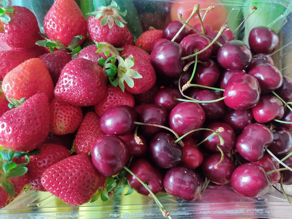 102414163_1726659610807126_9054056664407254288_o.j