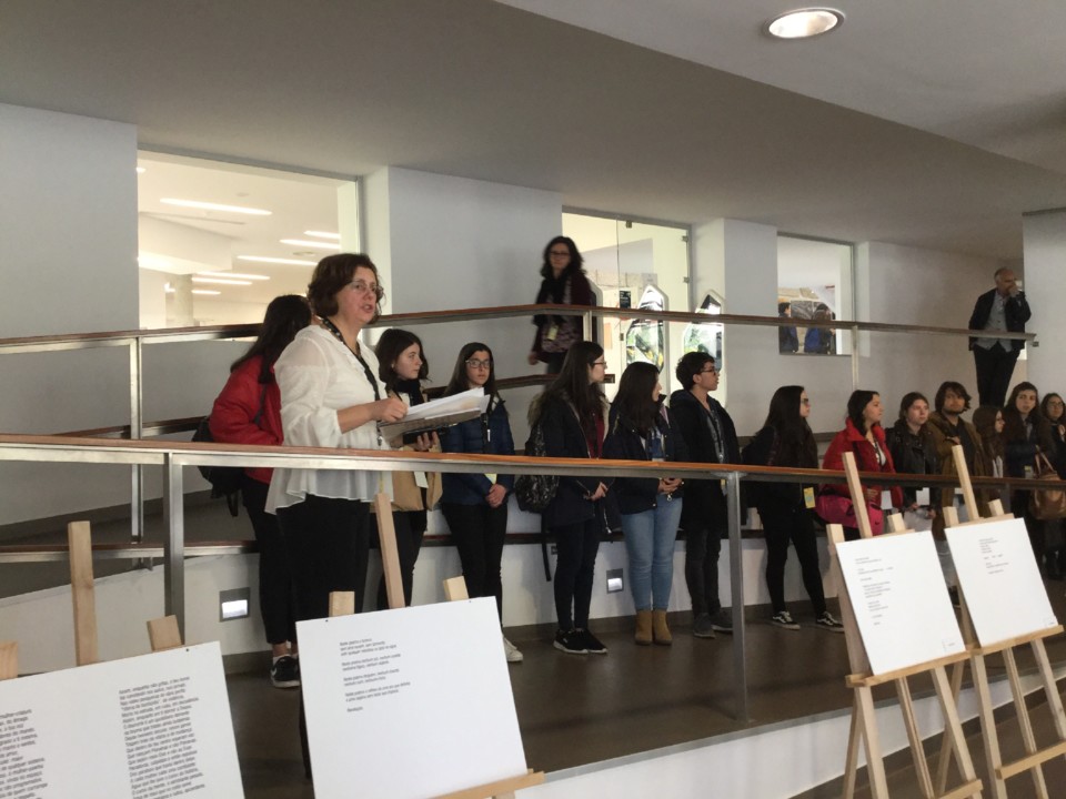 IMG_0172.JPG IMG_0172.JPG