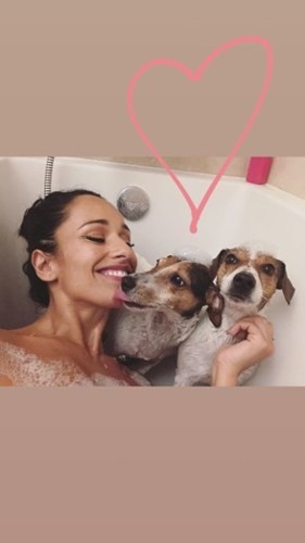 img_828x523$2018_01_20_18_05_58_104836.jpg img_828x523$2018_01_20_18_05_58_104836.jpg