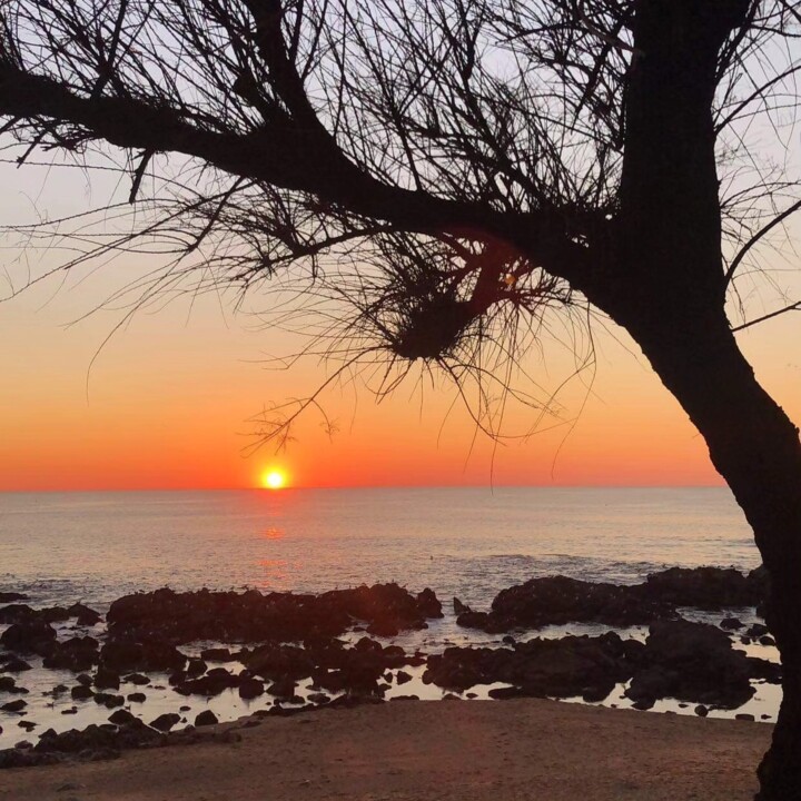 443714077_8370290796333684_7723970177135132701_n.j