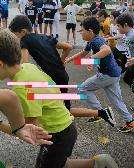 Cota mato EB Lajeosa.jpg