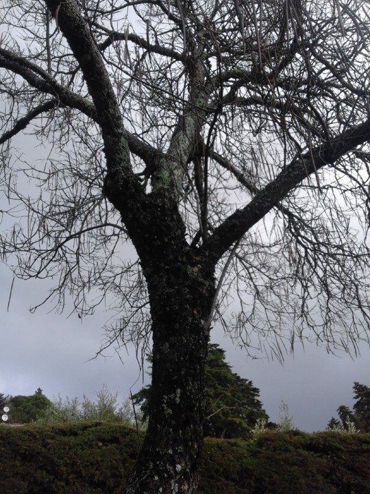 Foto original. 2017.jpg Foto original. 2017.jpg