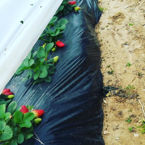 53321406_1320596871413404_41045031057883136_n.jpg 53321406_1320596871413404_41045031057883136_n.jpg