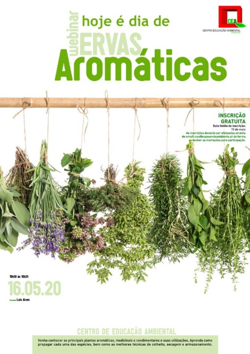 ErvasAromaticas (002).jpg ErvasAromaticas (002).jpg