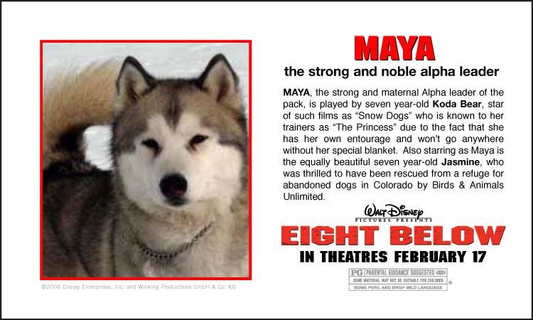 eight-below-maya.jpg.crdownload