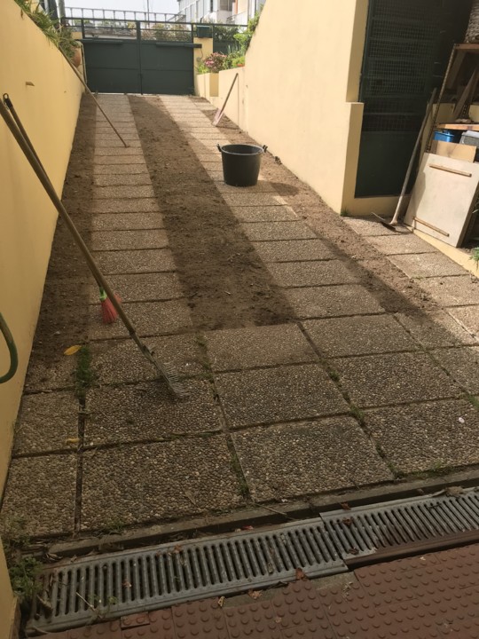 jardim1.jpg jardim1.jpg