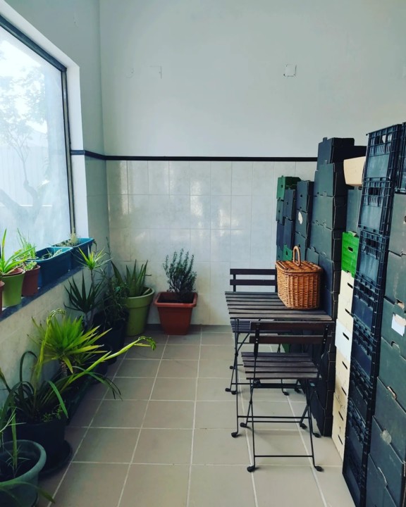 272445861_2222177881255294_7765065941954103082_n.j