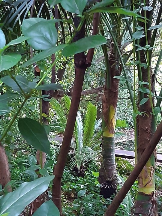 20201025_091351 (2).jpg