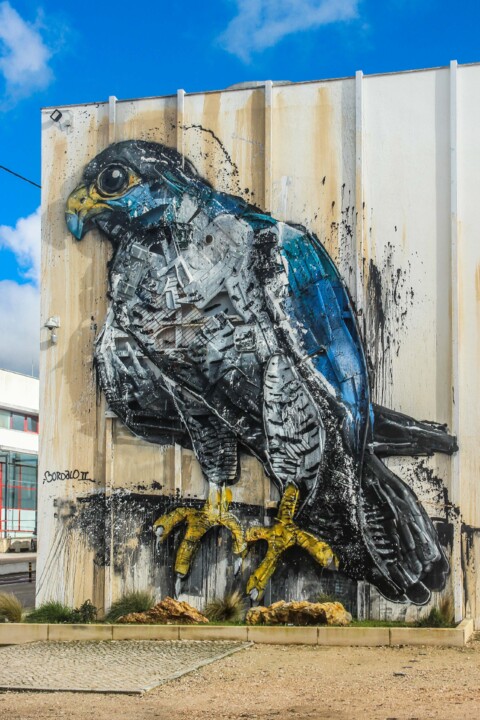 falcao-peregrino bordalo 1.jpg