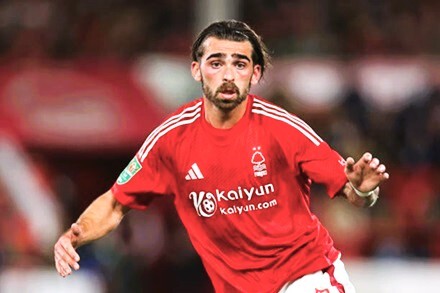 Jota Silva Forest.jpg
