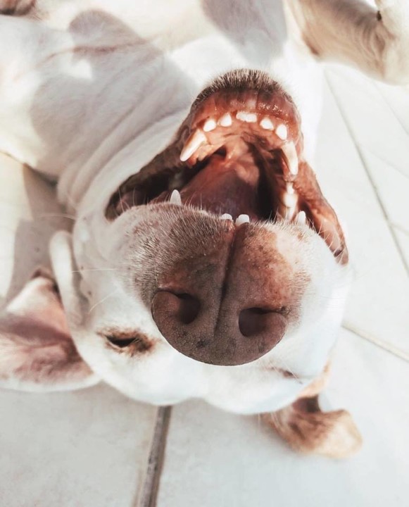 56157792_2063666410395887_208167036088483840_n.jpg 56157792_2063666410395887_208167036088483840_n.jpg