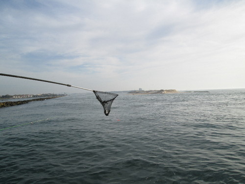 IMG_0947.JPG IMG_0947.JPG