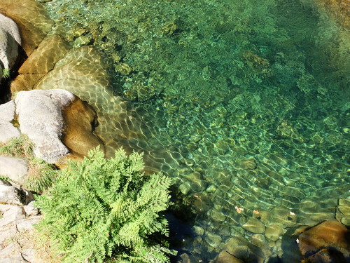 DSCF5365.JPG