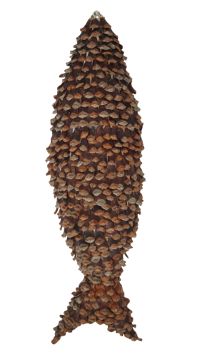 Carmo Mosar e André Banha.png