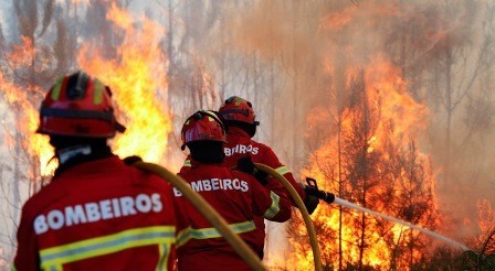 Incêndio em Pedrogão Grande.jpg