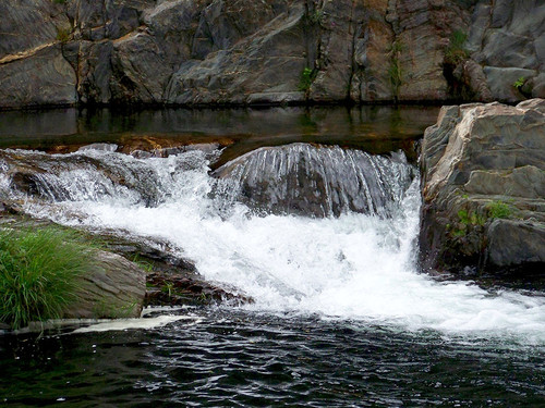 poco_da_cesta_01-1024x768.jpg poco_da_cesta_01-1024x768.jpg