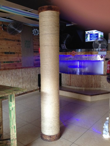 fotografia 1 (2).JPG