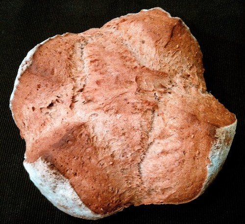 IMG_20160516_233239 (2).jpg