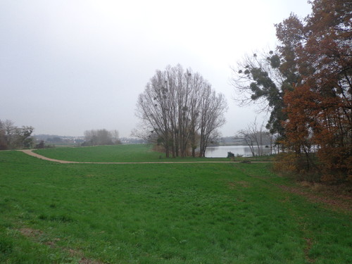 DSC01347.JPG DSC01347.JPG