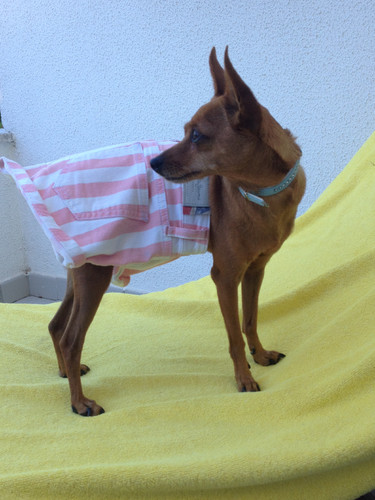 i phone bea fotos 118.JPG