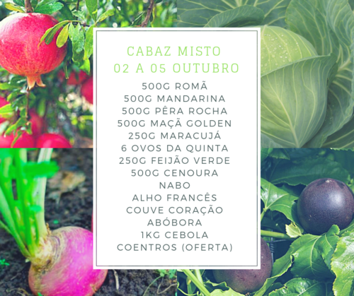 CabazMisto02a05Out.png CabazMisto02a05Out.png