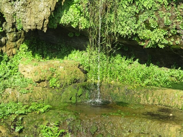 297165792_5252959791485950_7572077134398791625_n.j