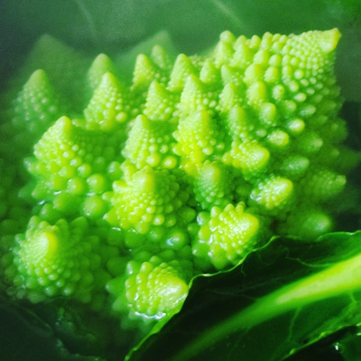 136360335_1917724658367286_4823930239695847279_o.j