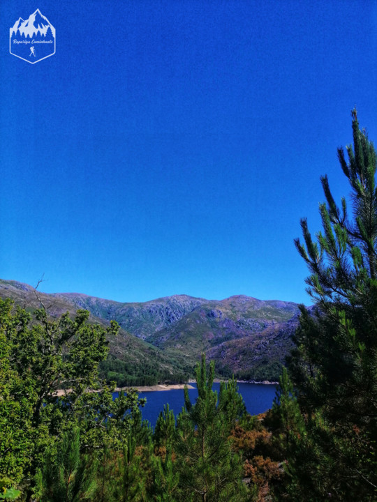 Photo_1598340689522.jpg Photo_1598340689522.jpg